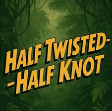half-twisted-knot
